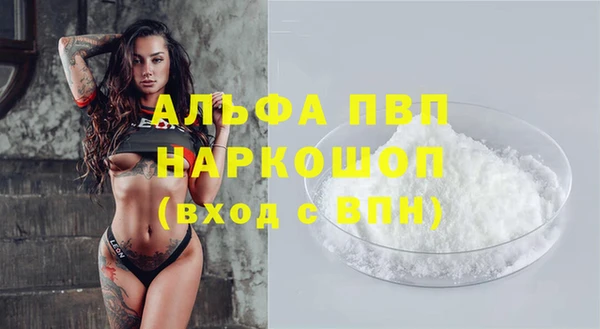 ПСИЛОЦИБИНОВЫЕ ГРИБЫ Лабытнанги