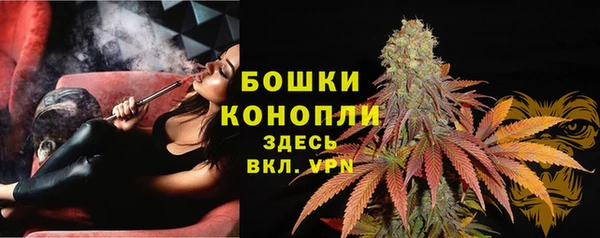 ПСИЛОЦИБИНОВЫЕ ГРИБЫ Лабытнанги