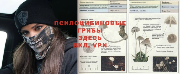 ПСИЛОЦИБИНОВЫЕ ГРИБЫ Лабытнанги
