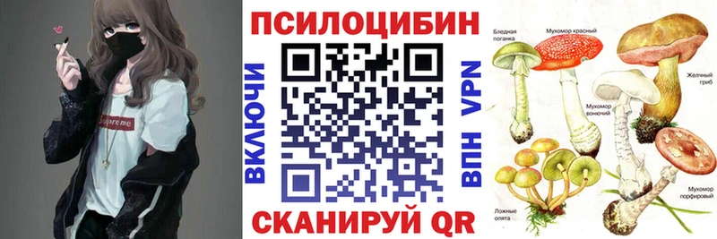 Псилоцибиновые грибы Psilocybe  Касли 